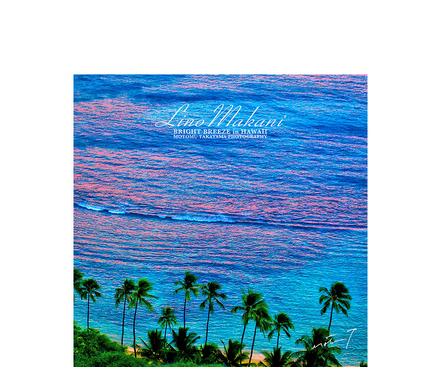 HAND TOWEL / LMHT702