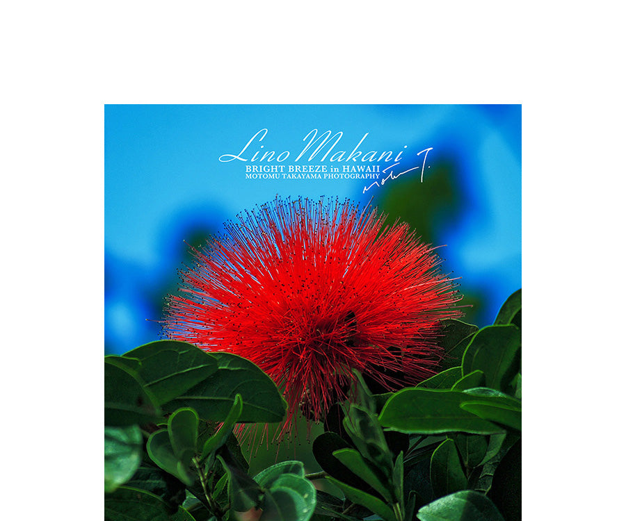 HAND TOWEL / LMHT703