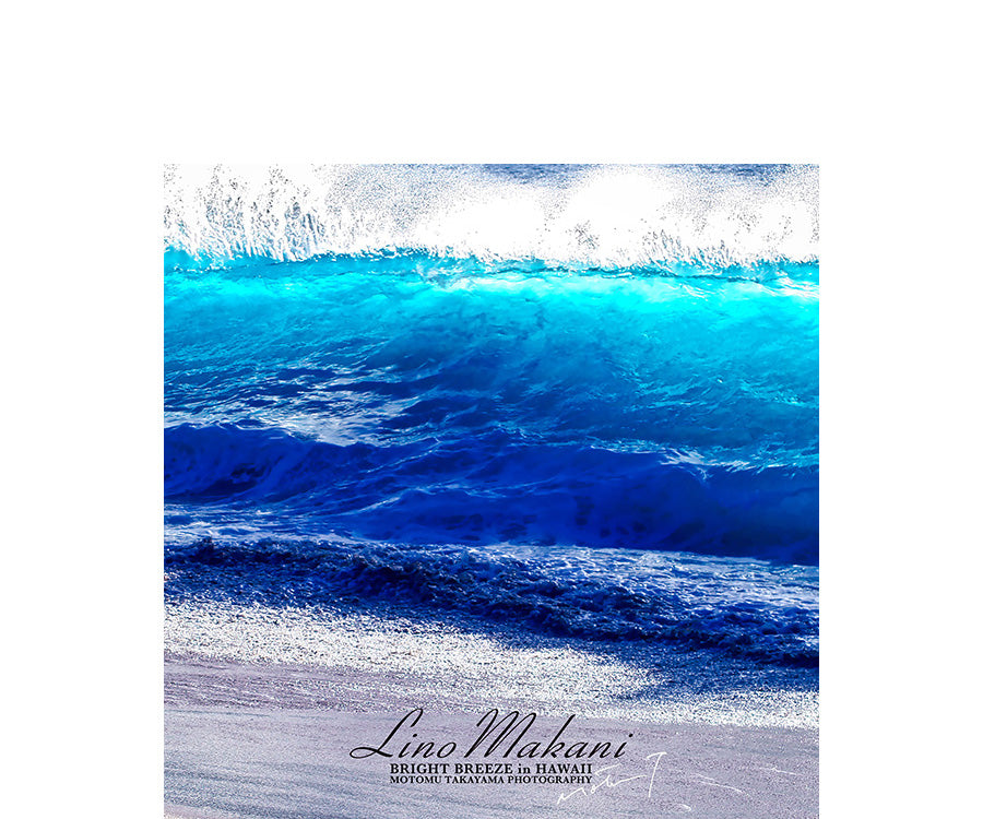 HAND TOWEL / LMHT704