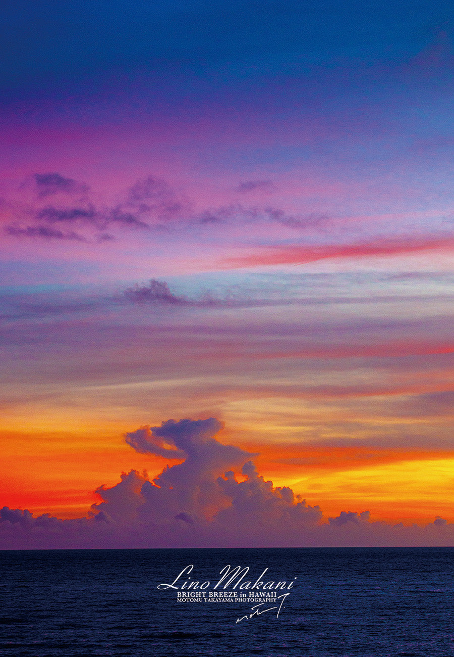 <NEW> BATH TOWEL / LM25-BT003