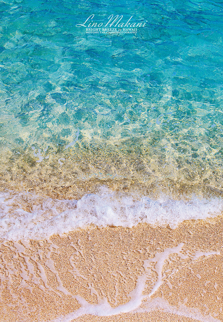 <NEW> BATH TOWEL / LM25-BT005