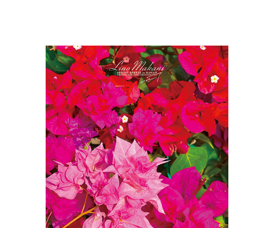 <NEW> HAND TOWEL / LM25-HT007