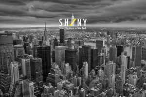 SHINY =  NY Collection・シャイニー ＝ ニューヨークコレクション