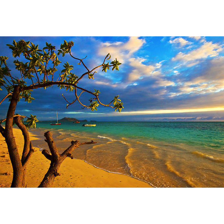 Hawaiian Seashores Post Card / PCLM010