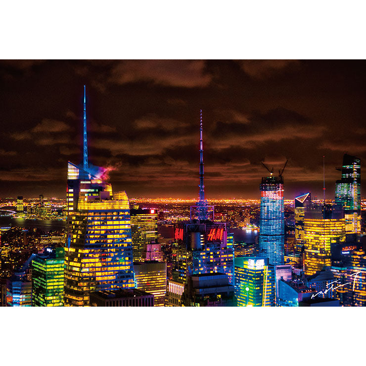 PCNY008