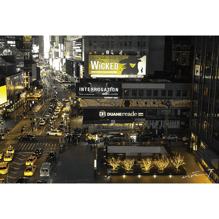PCNY009