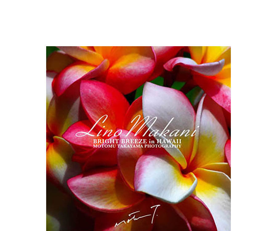 LINO MAKANI HAND TOWELS Collection – LINO MAKANI & SHINY