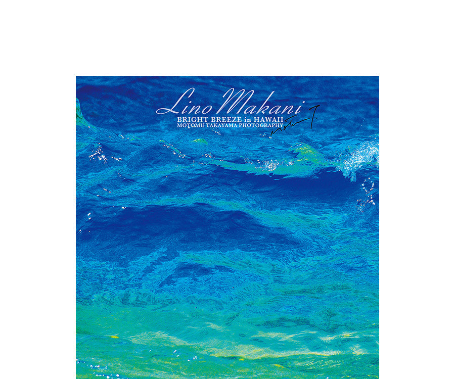 LINO MAKANI HAND TOWELS Collection – LINO MAKANI & SHINY