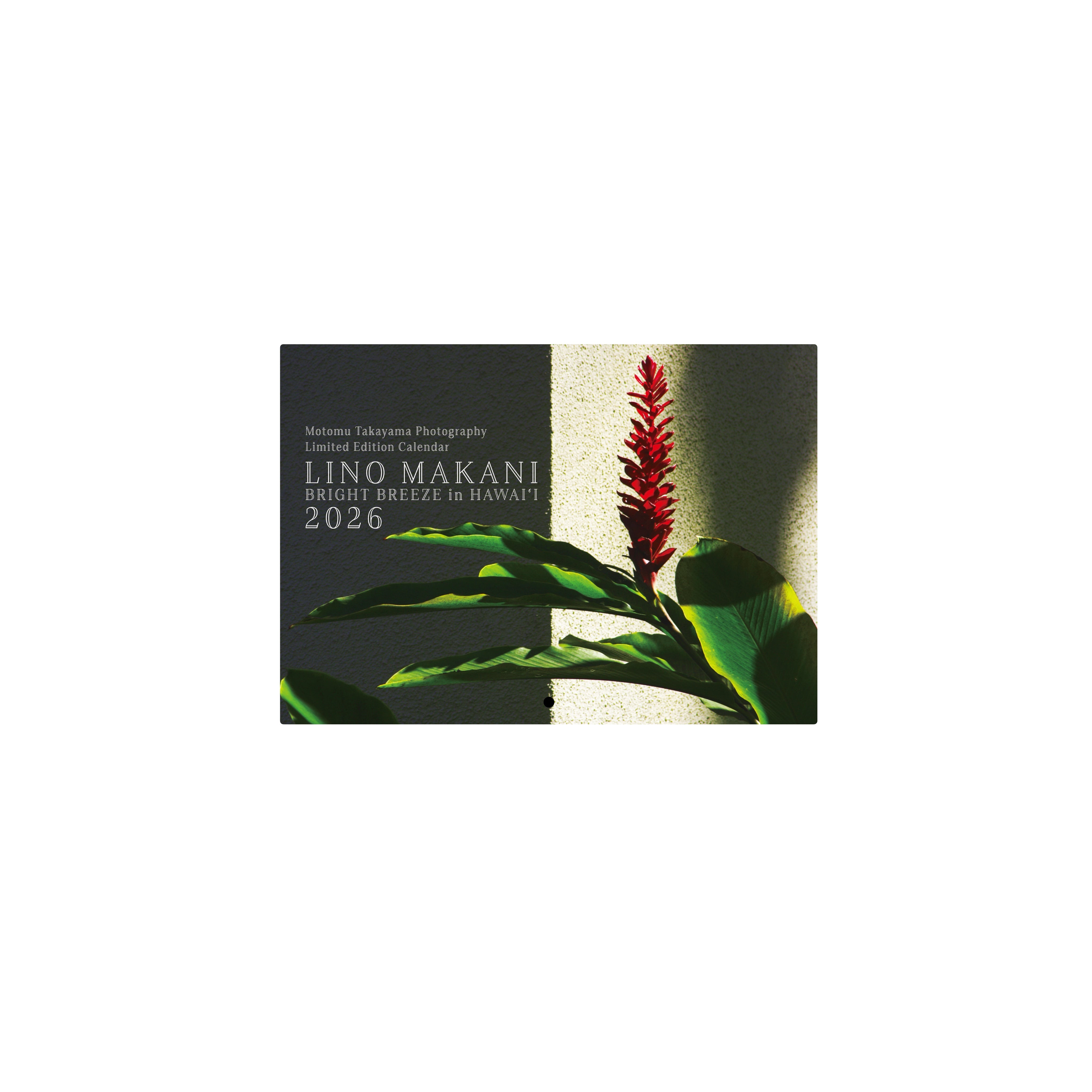 写真家 高山求 アート&フレーム 写真家 高山求 アート&フレーム Motomu Takayama (@motomu_lino_makani