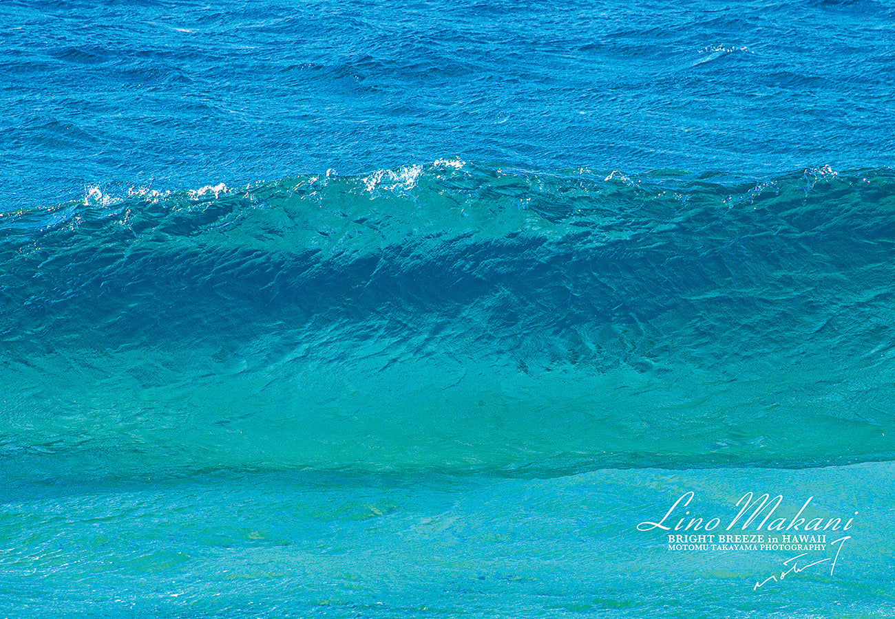 LINO MAKANI = HAWAII Collection – LINO MAKANI & SHINY