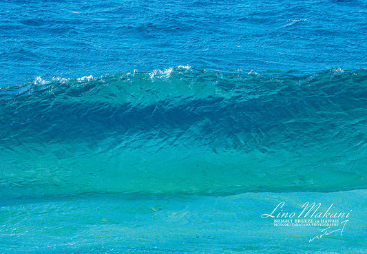 ＜NEW＞ BATH TOWEL /  LM25-BT001