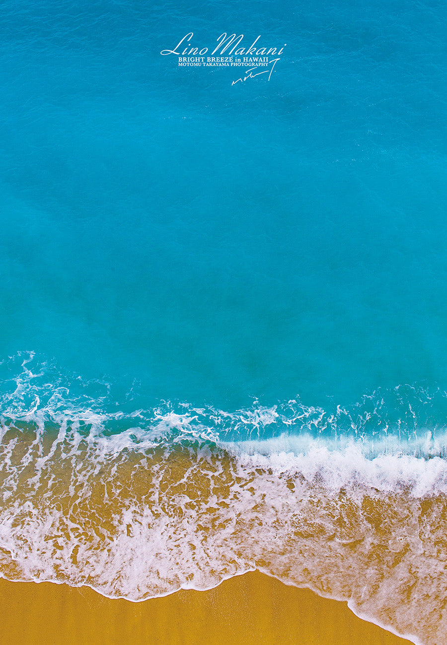 ＜NEW＞ BATH TOWEL /  LM25-BT004