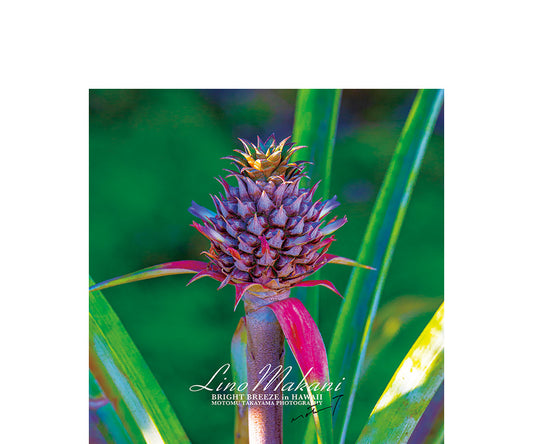 ＜NEW＞ HAND TOWEL / LM25-HT003