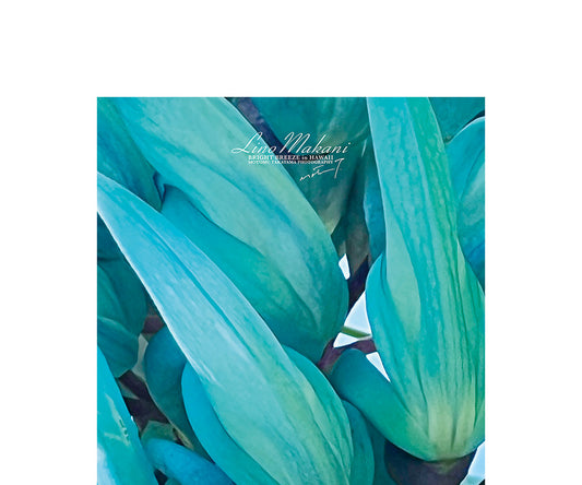 ＜NEW＞ HAND TOWEL / LM25-HT005