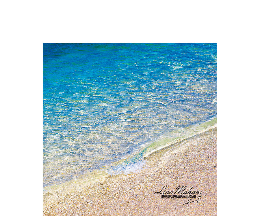 LINO MAKANI HAND TOWELS Collection – LINO MAKANI & SHINY