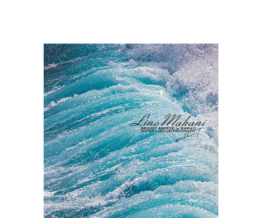 ＜NEW＞ HAND TOWEL / LM25-HT009