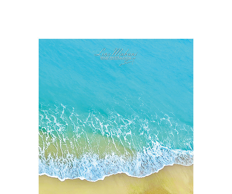 LINO MAKANI = HAWAII Collection – LINO MAKANI & SHINY