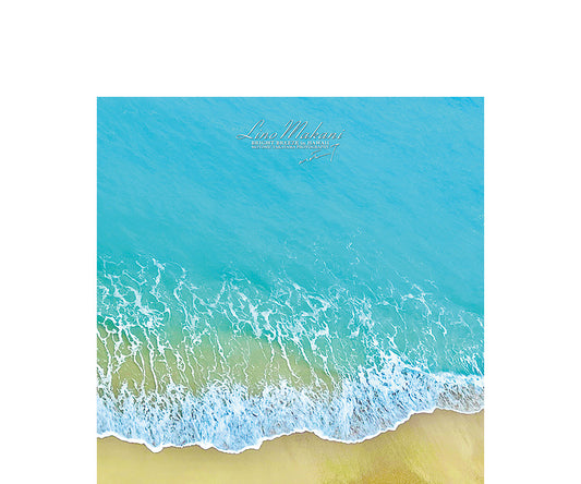 ＜NEW＞ HAND TOWEL / LM25-HT011