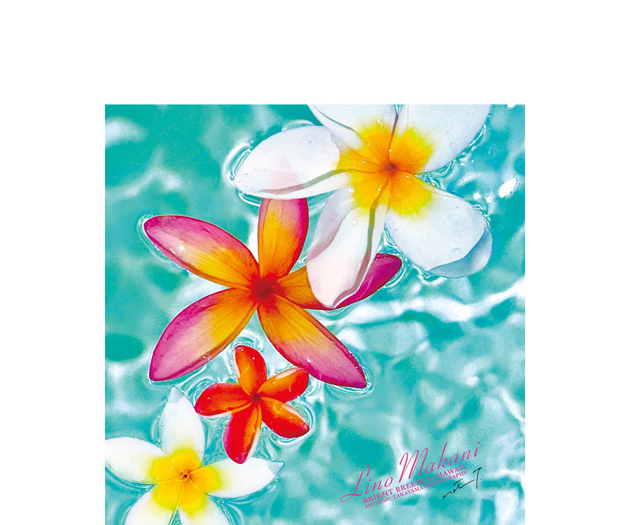 ＜NEW＞ HAND TOWEL / LM26-HT012