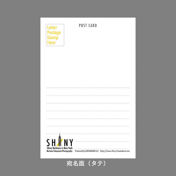 SHINY New York Post Card / PCNY001